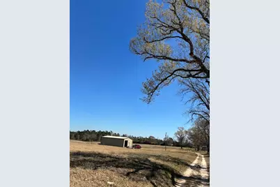 0 County Road 2235, Grapeland, TX 75844 - Photo 5