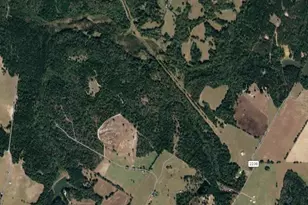 0 County Road 2235, Grapeland, TX 75844 - Photo 1