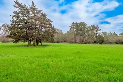 758 Wire Road, Huntsville, TX 77320 - Photo 37