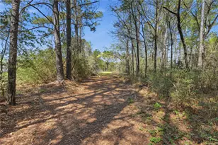 27390 Fm 1097 W, Montgomery, TX 77356 - Photo 9