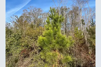 10 Fm 787, Saratoga, TX 77585 - Photo 9