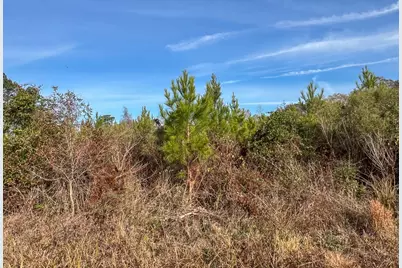 10 Fm 787, Saratoga, TX 77585 - Photo 7