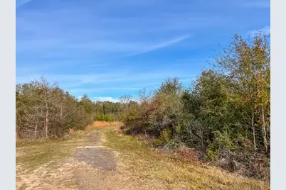 10 Fm 787, Saratoga, TX 77585 - Photo 11