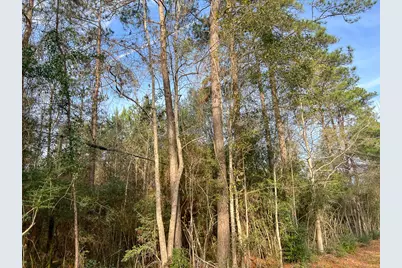 10 Fm 787, Saratoga, TX 77585 - Photo 3