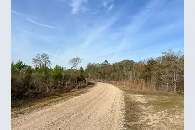 10 Fm 787, Saratoga, TX 77585 - Photo 13