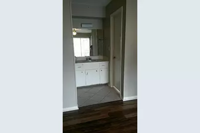 29414 Loddington Street, Spring, TX 77386 - Photo 21