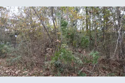 0 E Mourning Dove Trail, Coldspring, TX 77331 - Photo 5
