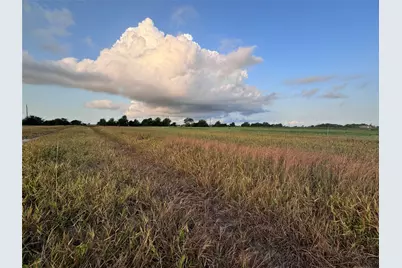 Tbd Cr 343 Harter Road, Blessing, TX 77419 - Photo 5
