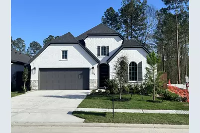 29756 Brushy Gables Drive, Magnolia, TX 77354 - Photo 1