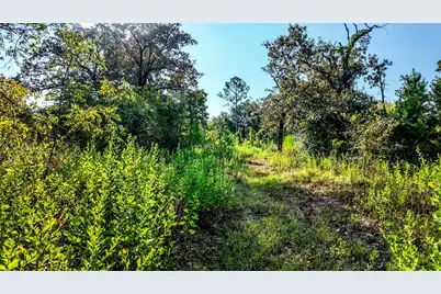 1493 Fm 980, Huntsville, TX 77320 - Photo 31