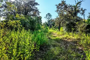1493 FM 980, Huntsville, TX 77320 - Photo 31