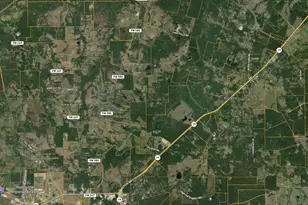 1493 FM 980, Huntsville, TX 77320 - Photo 37