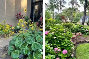 2210 Long Valley Dr, Kingwood, TX 77345 - Photo 49