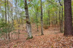 6910 Hwy 147 N, Center, TX 75935 - Photo 41