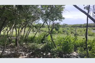 0 Hwy 307, , NC None - Photo 15