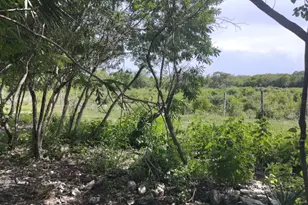 0 Hwy 307, , NC None - Photo 15