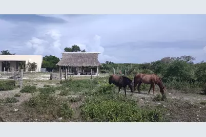 0 Hwy 307, , NC None - Photo 11