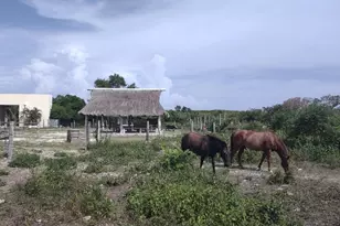 0 Hwy 307, , NC None - Photo 11