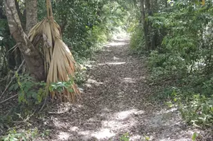 0 Hwy 307, , NC None - Photo 19