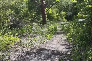 0 Hwy 307, , NC None - Photo 21