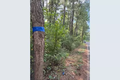 0 Pinebrook Lot 77, Plantersville, TX 77363 - Photo 1