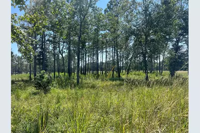 Tbd 3 3152 Road, Livingston, TX 77351 - Photo 3