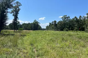 Tbd 3 3152 Rd, Livingston, TX 77351 - Photo 1