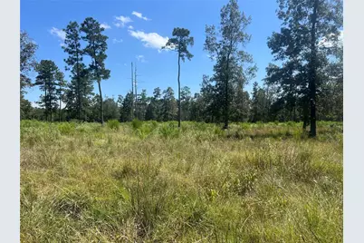 Tbd 3 3152 Road, Livingston, TX 77351 - Photo 5