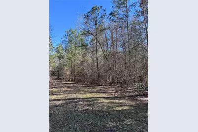 Tbd Cr 2669,2670, Cleveland, TX 77327 - Photo 3