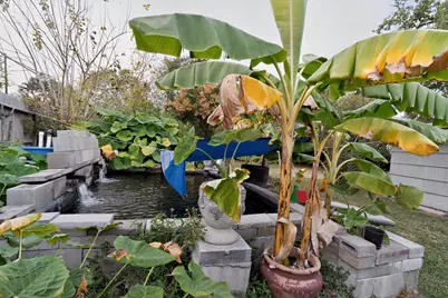 119 Southbrook Circle, Houston, TX 77060 - Photo 21