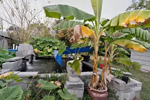 119 Southbrook Cir, Houston, TX 77060 - Photo 21