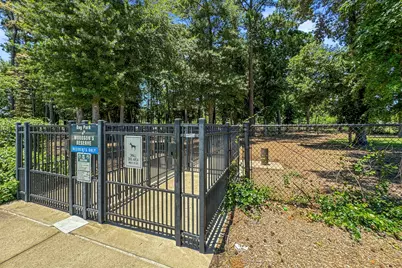 28198 White Meadow Lane, Spring, TX 77386 - Photo 47