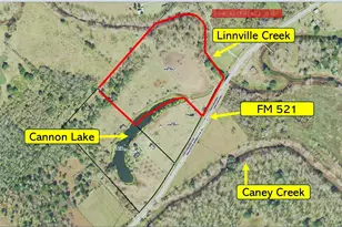 0 FM521, Cedar Lane, TX 77415 - Photo 1