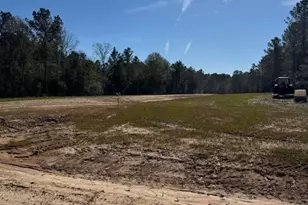 Tbd Redhead Rd, Livingston, TX 77351 - Photo 1