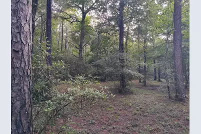 232 Texas Grand Road, Huntsville, TX 77340 - Photo 7