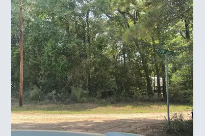 321 Holly Hill Road, Livingston, TX 77351 - Photo 3
