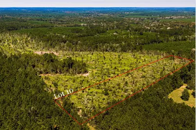 010 Buddy Lloyd Rd, Livingston, TX 77351 - Photo 1