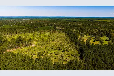 010 Buddy Lloyd Rd, Livingston, TX 77351 - Photo 7