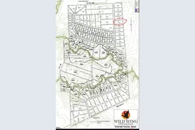 102 Lot 102 Pintail Lane, Columbus, TX 78934 - Photo 11