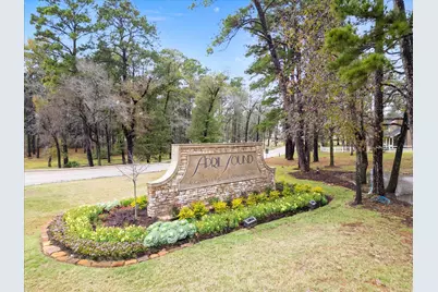 254 Capetown, Montgomery, TX 77356 - Photo 19