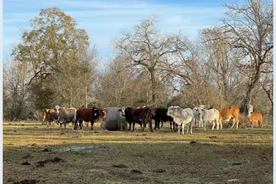 8112 County Road 146, Bedias, TX 77831 - Photo 33