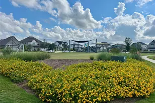 7711 Pale Petunia Trl, Katy, TX 77493 - Photo 47