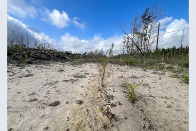 000 Highway 190, Woodville, TX 75979 - Photo 5