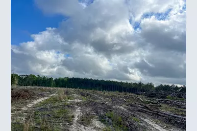 000 Highway 190, Woodville, TX 75979 - Photo 7