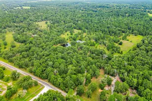 289 William Thomas Rd, Huntsville, TX 77320 - Photo 43