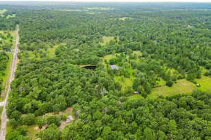 289 William Thomas Rd, Huntsville, TX 77320 - Photo 41