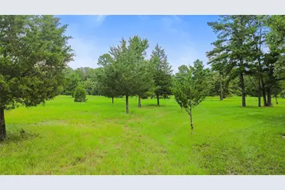 289 William Thomas Road, Huntsville, TX 77320 - Photo 5