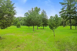 289 William Thomas Rd, Huntsville, TX 77320 - Photo 5