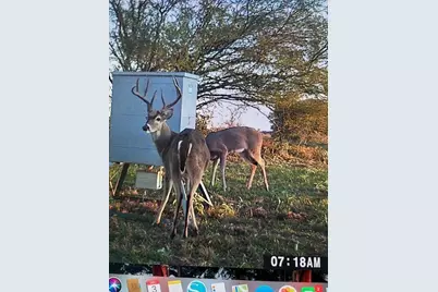 4046 Kurtz, Sealy, TX 77474 - Photo 23