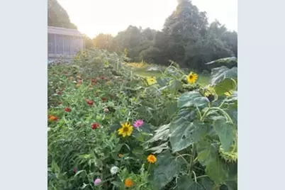 4046 Kurtz, Sealy, TX 77474 - Photo 17